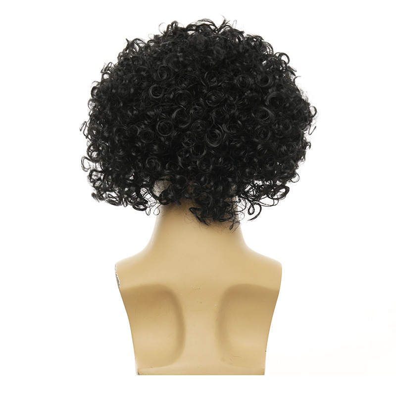 Unisex Big Curly Afro Wig - 3  - Women'S Accessories In The 70S review and price