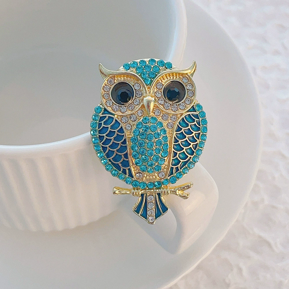 Owl Brooches for Women  Bird C - Women'S Accessories Categories review and price